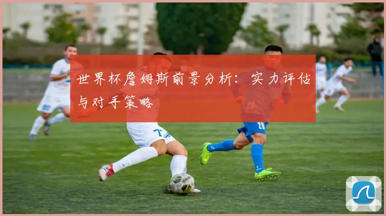 世界杯詹姆斯前景分析：实力评估与对手策略