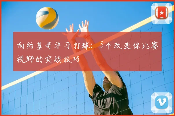 向约基奇学习打球：5个改变你比赛视野的实战技巧