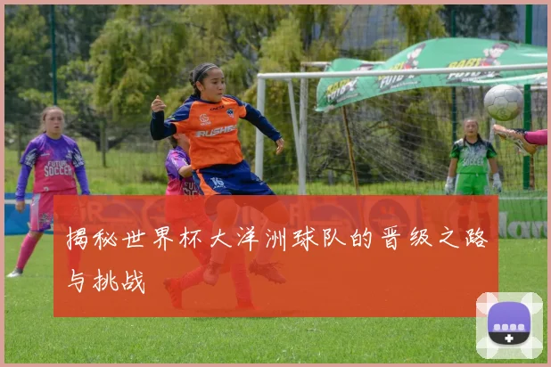 揭秘世界杯大洋洲球队的晋级之路与挑战