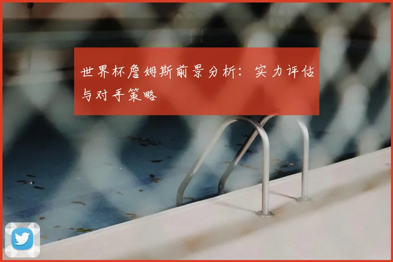 世界杯詹姆斯前景分析：实力评估与对手策略