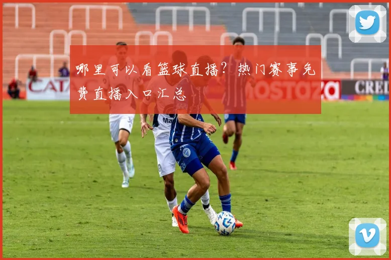 哪里可以看篮球直播？热门赛事免费直播入口汇总
